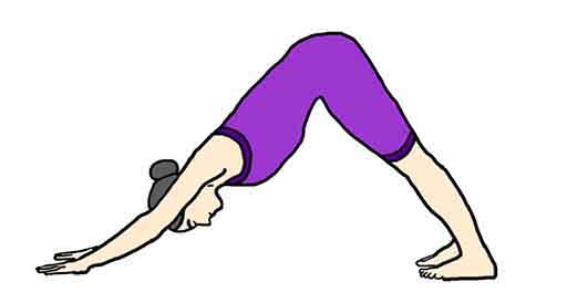 سگ سرپایین در یوگا