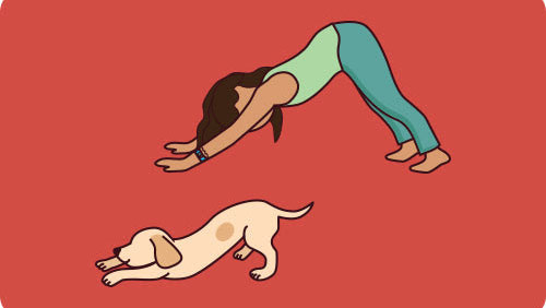 سگ سر پایین در یوگا 