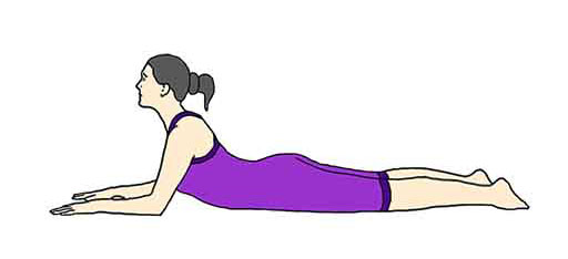 ابوالهول در یوگا