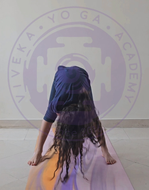 کودکی در حال اجرای حرکت تاب خوردن میمون (اوتیتا لولاسانا) در کلاس یوگا کودک آموزش تاب خوردن میمون به کودکان