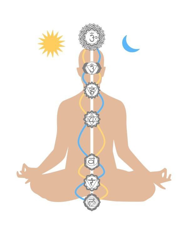 آیدا و پینگالا در کاپالابهاتی